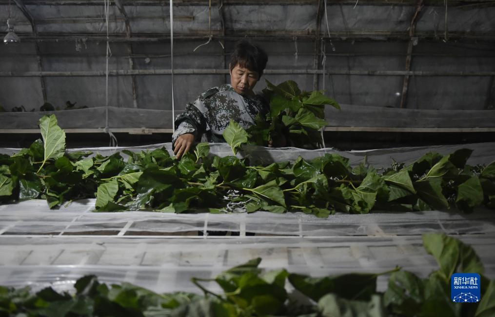 pt游戏攻略